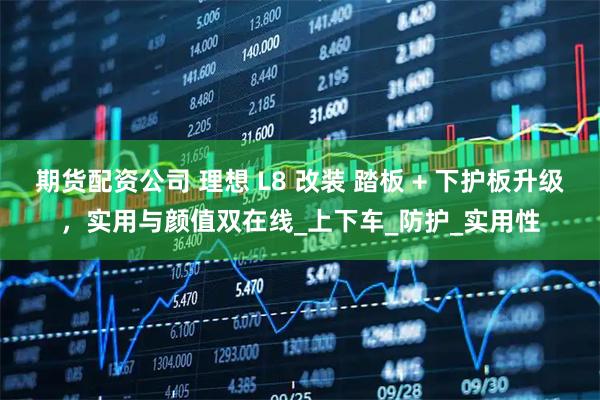 期货配资公司 理想 L8 改装 踏板 + 下护板升级，实用与颜值双在线_上下车_防护_实用性